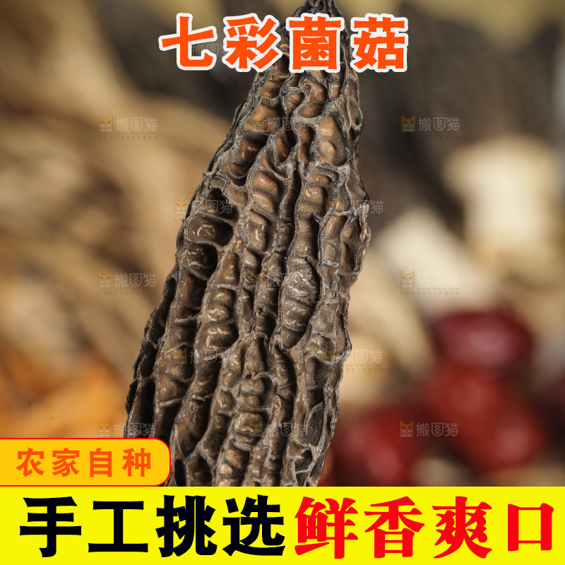 一盘七彩菌菇