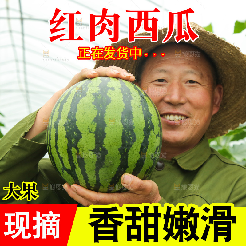 手里抱着麒麟瓜