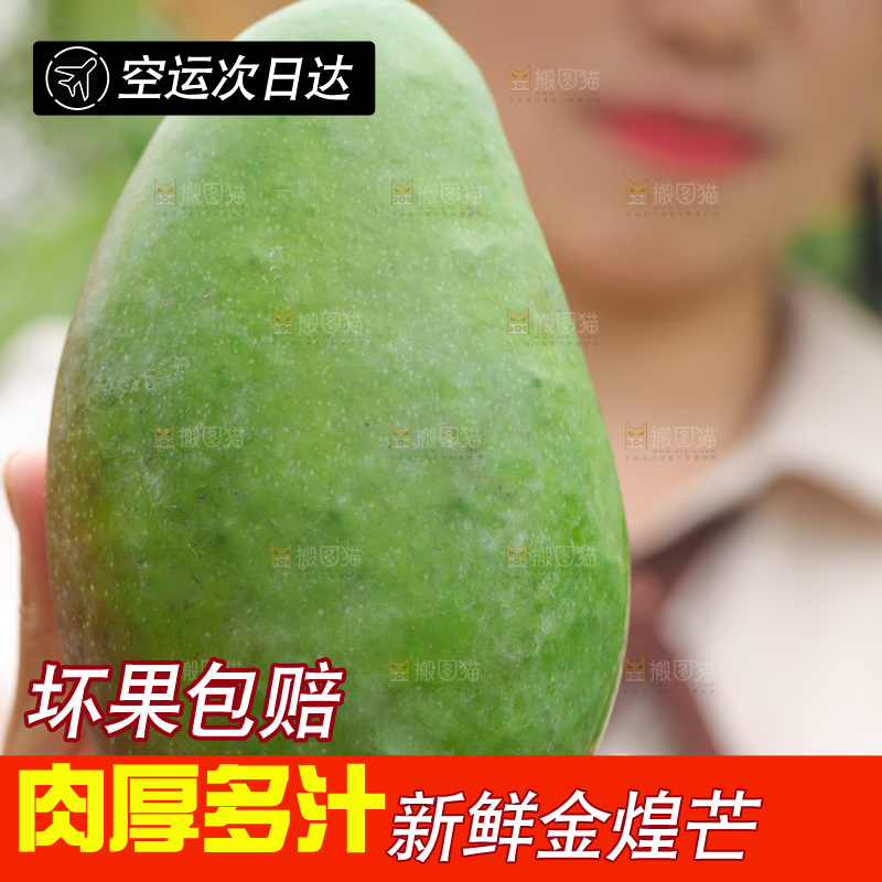 手里拿着金煌芒