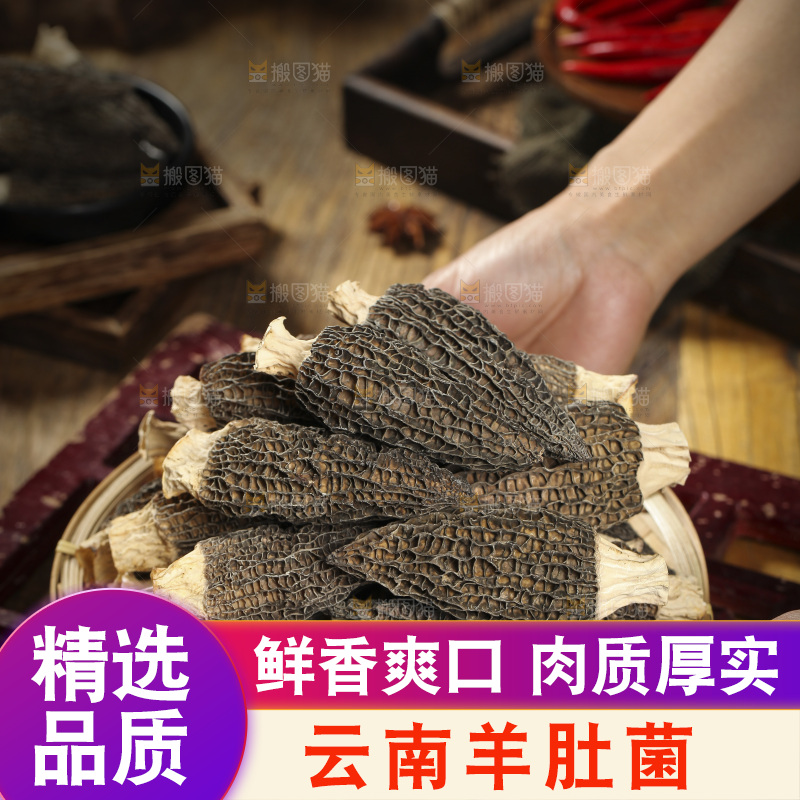 手里端着一篮羊肚菌