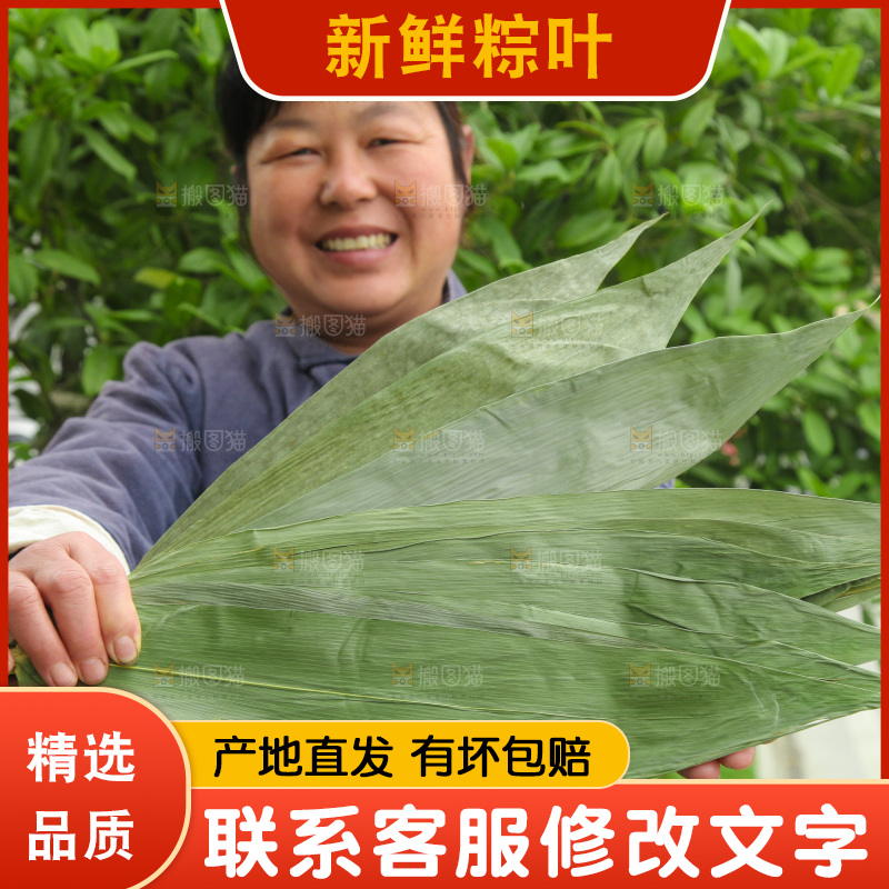 手里拿着大粽叶