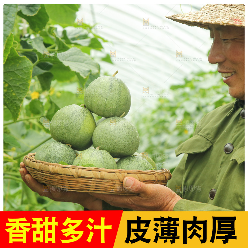 手里端着一篮绿宝石甜瓜