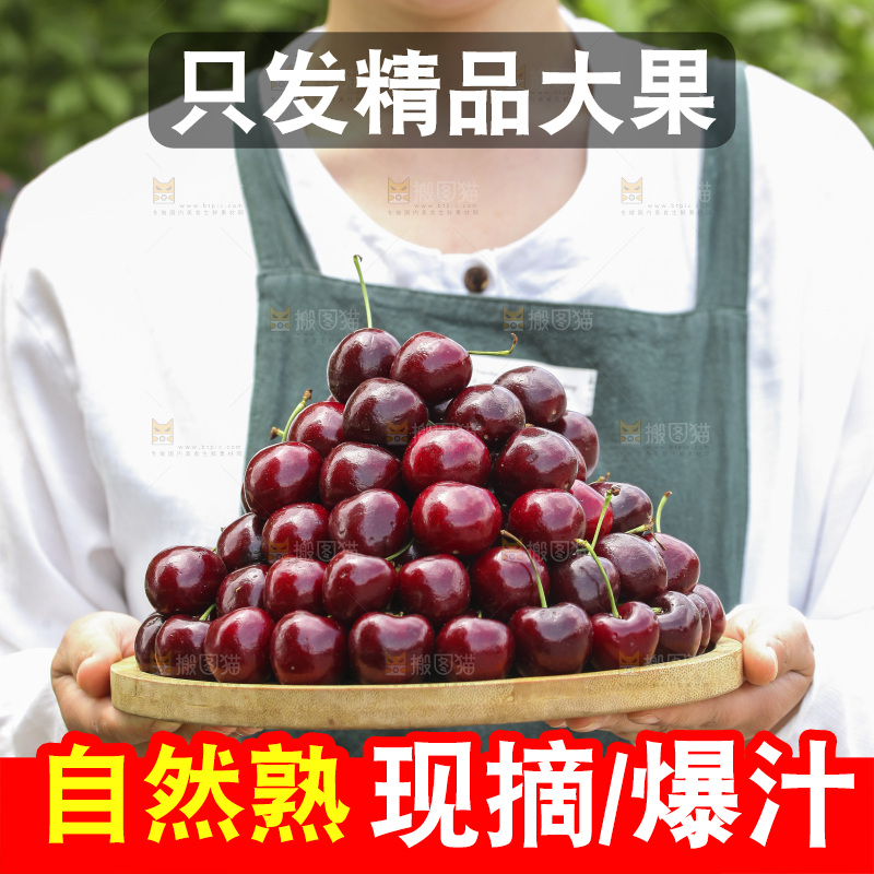 手里端着一盘美早大樱桃