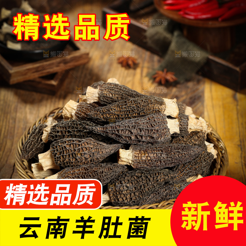 木底上一蓝羊肚菇