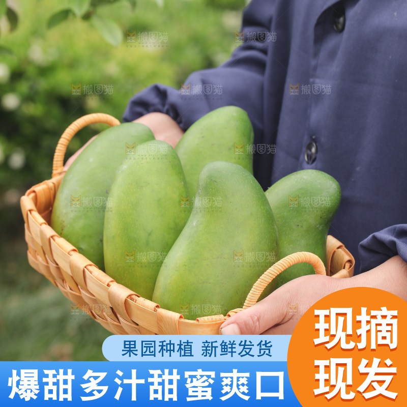 一篮新鲜金煌芒