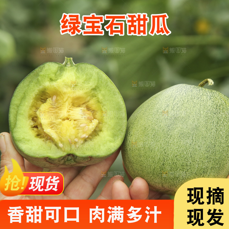 手里拿着绿宝甜瓜对比