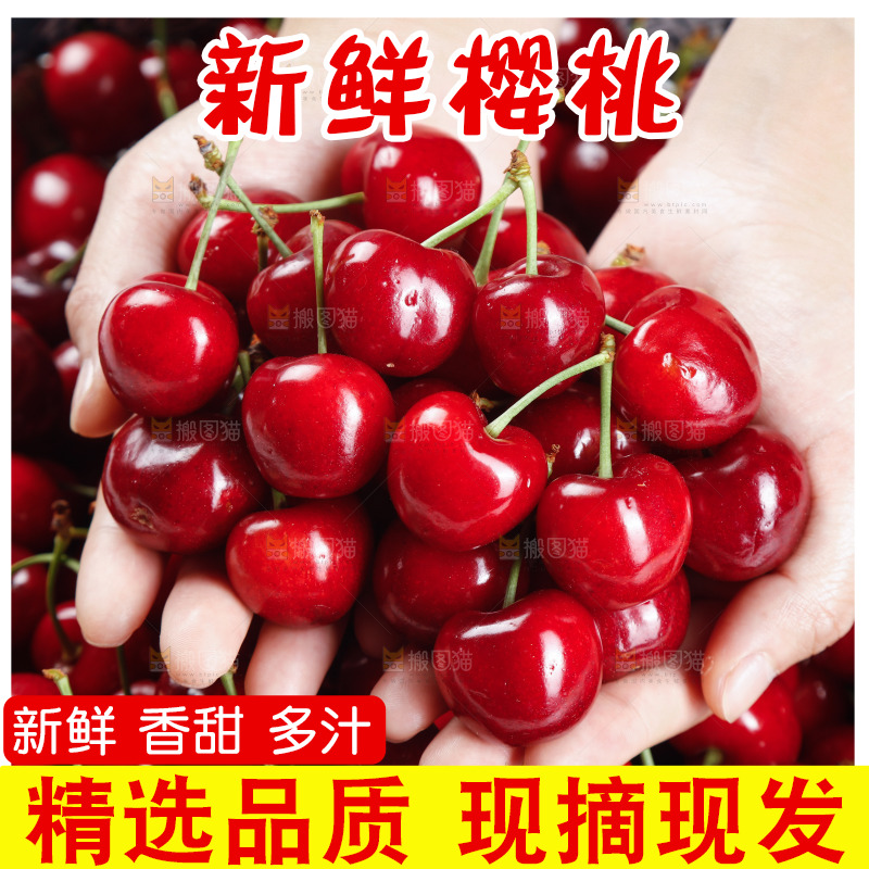 大樱桃纹理