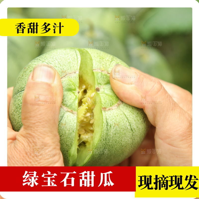 手里掰着绿宝蜜瓜
