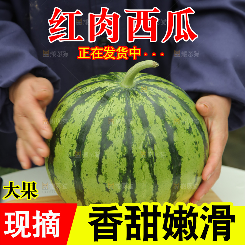 手里抱着大西瓜