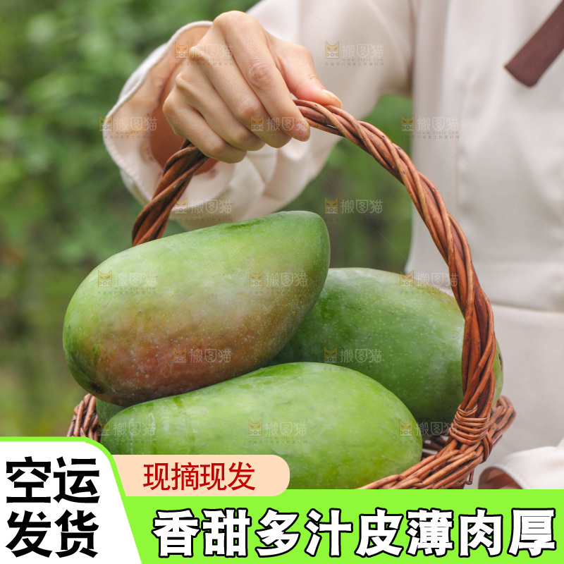 手里提着一篮金煌芒果