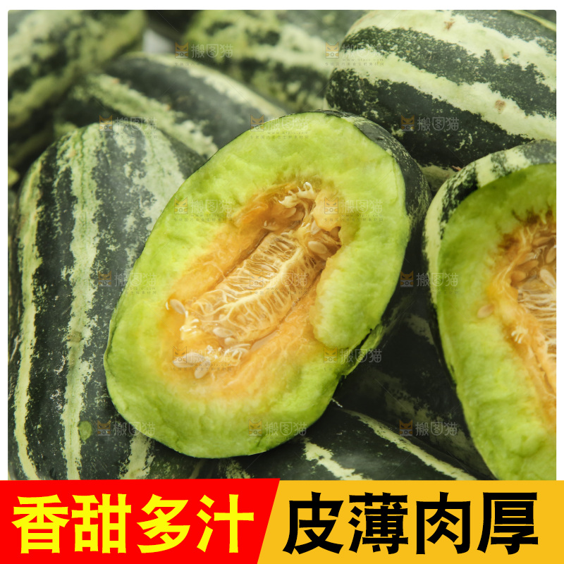 一堆新鲜博洋9号甜瓜