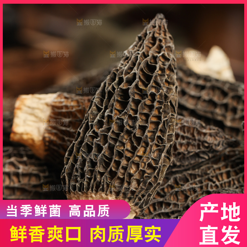 一堆干羊肚菌