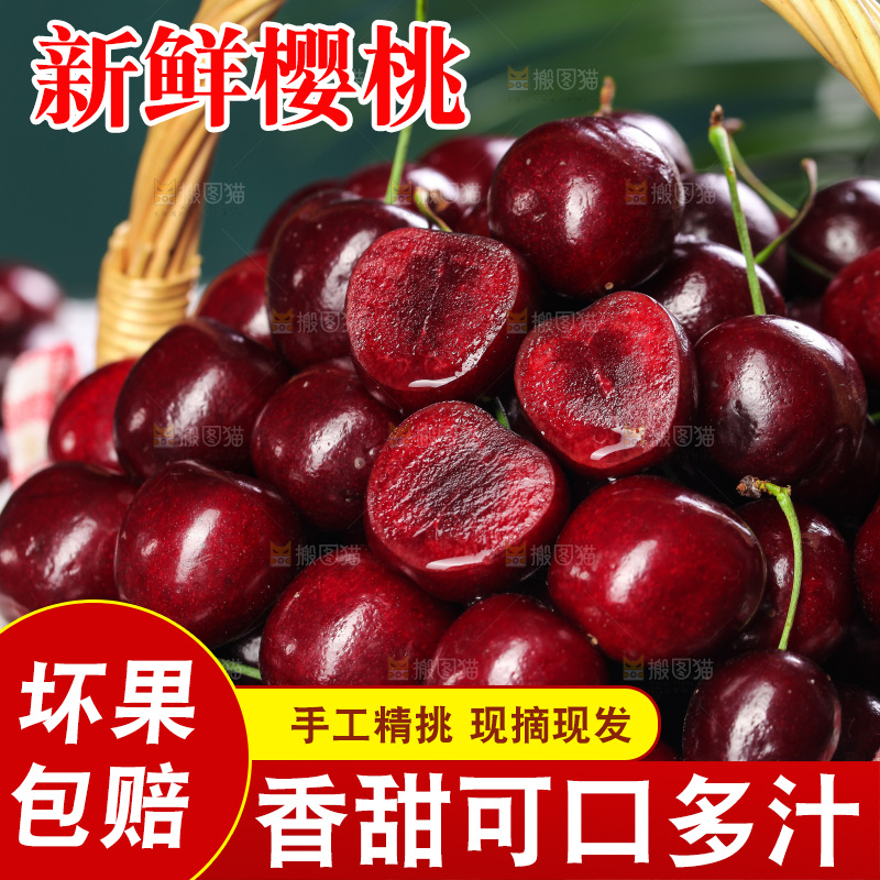 一篮美早大樱桃
