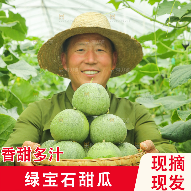 手里端着一篮绿宝石甜瓜