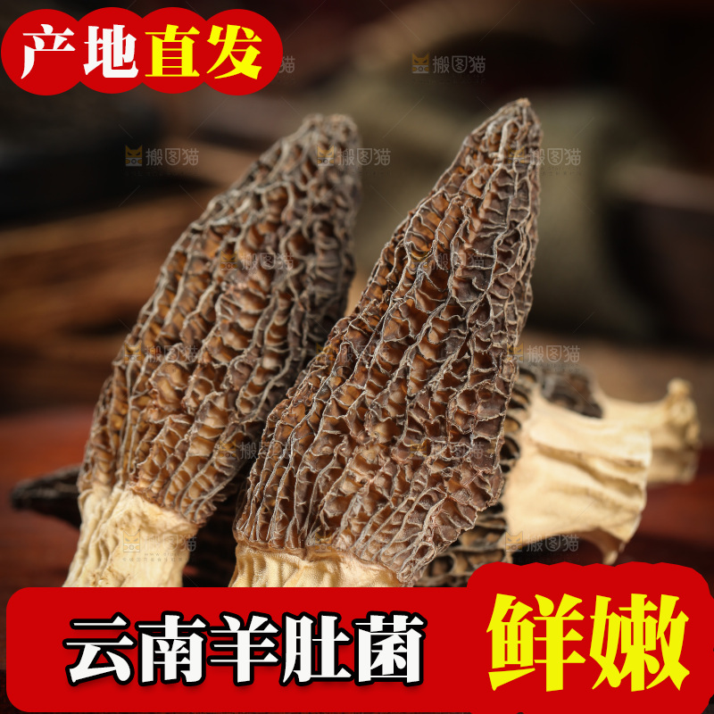 木底上放着羊肚菌