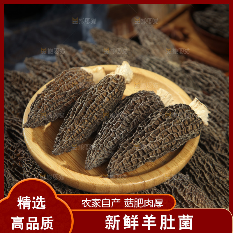 一盘羊肚菌