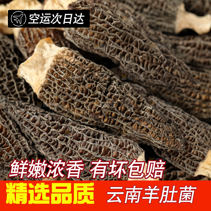 一堆干羊肚菌