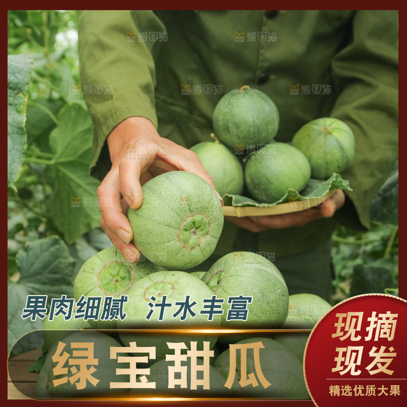 一堆绿宝甜瓜
