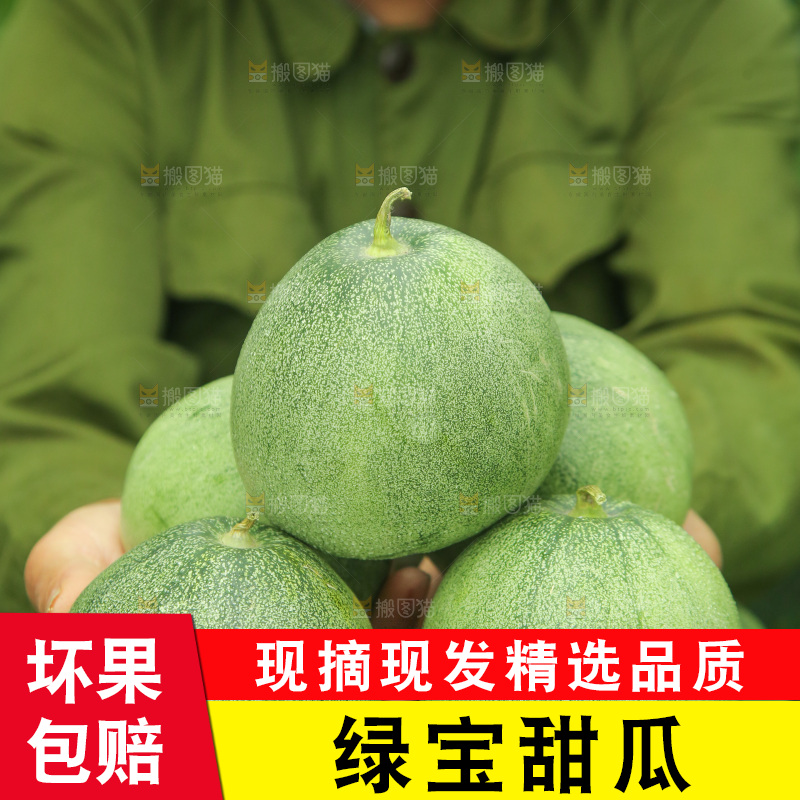 手里捧着绿宝甜瓜