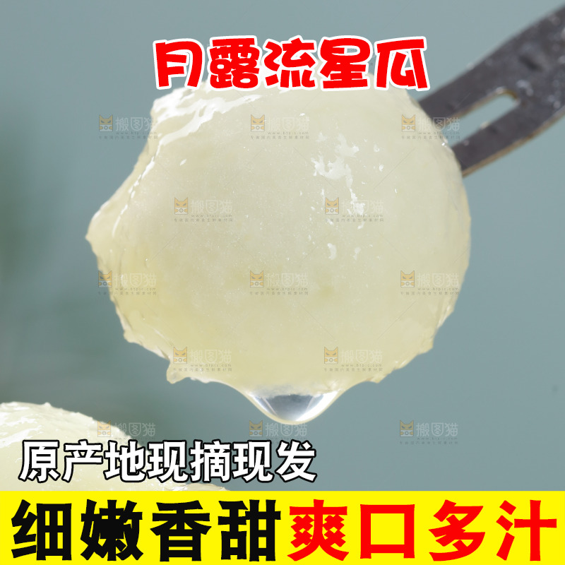 月露流星蜜瓜果肉特写