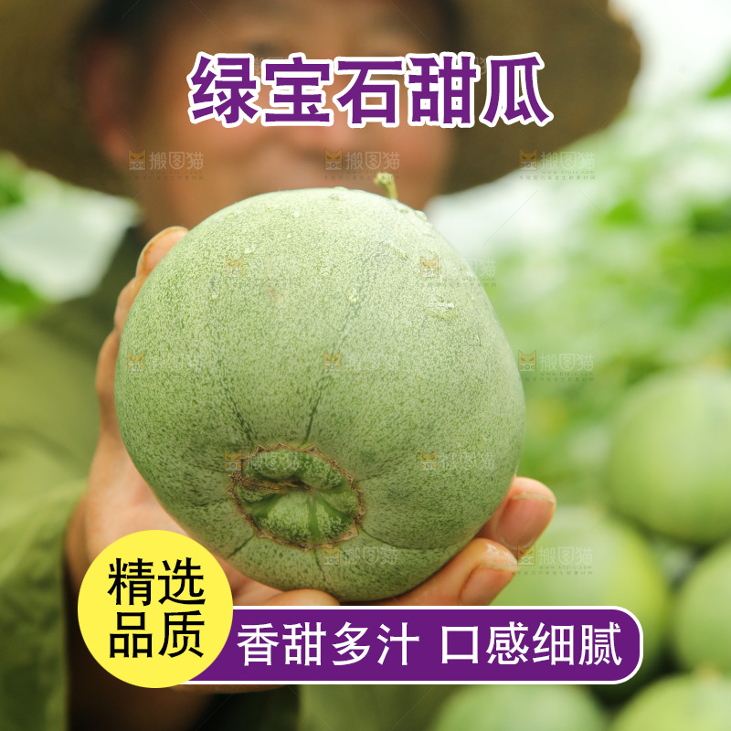 手里拿着绿宝甜瓜