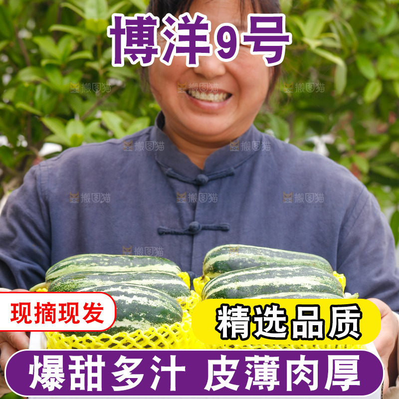 手里端着一箱博洋9号