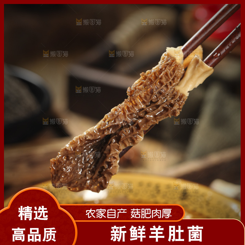 筷子上夹着羊肚菇