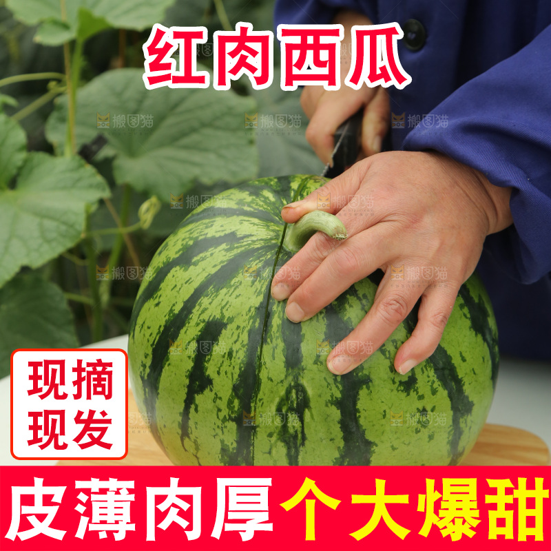 桌子上切着麒麟西瓜