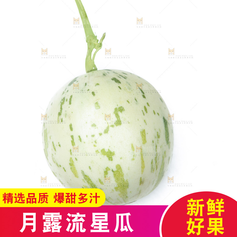 白底上摆放着月露流星蜜瓜
