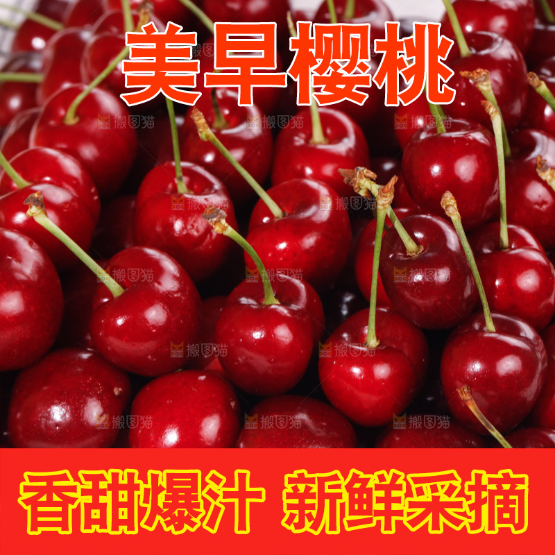 大樱桃纹理