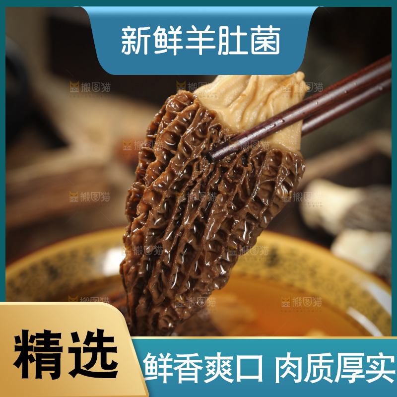 筷子上夹着羊肚菇