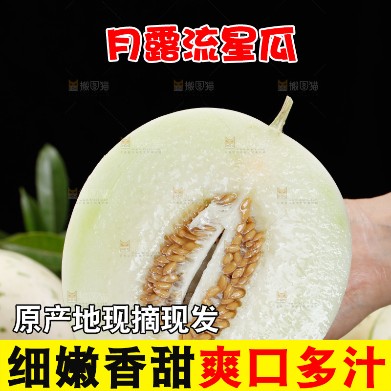 手里拿着白露流星蜜瓜