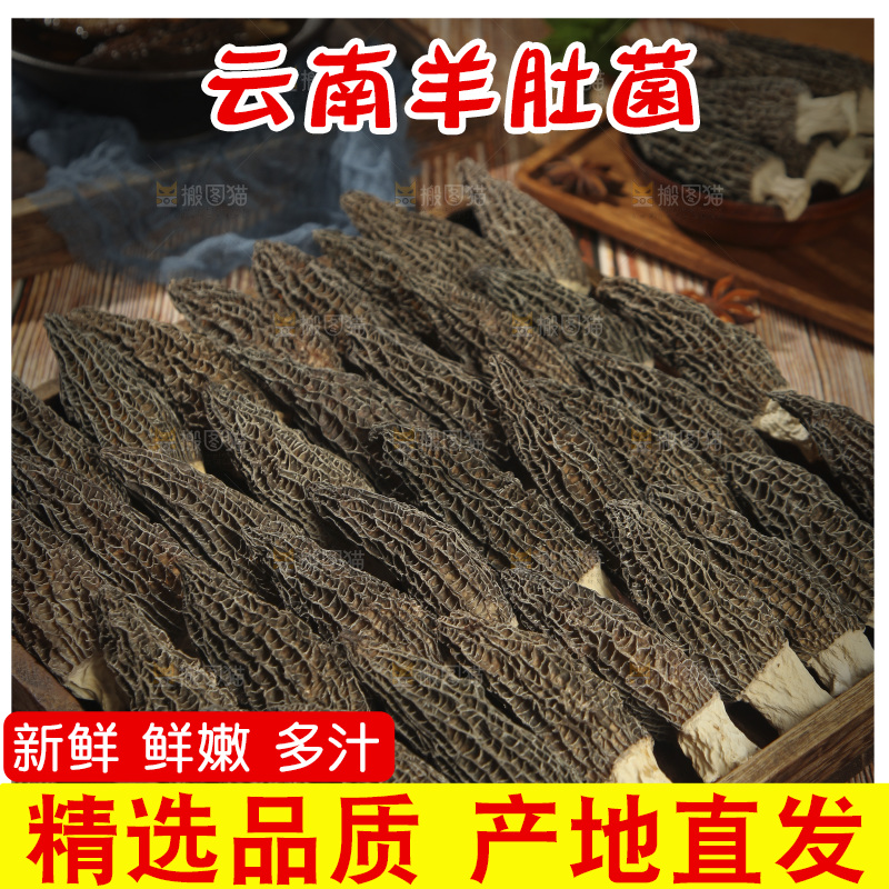 一盘羊肚菌