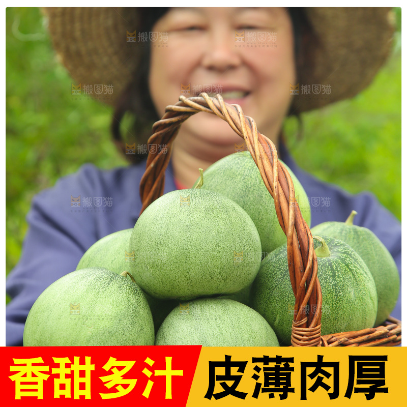 手里端着一篮绿宝甜瓜