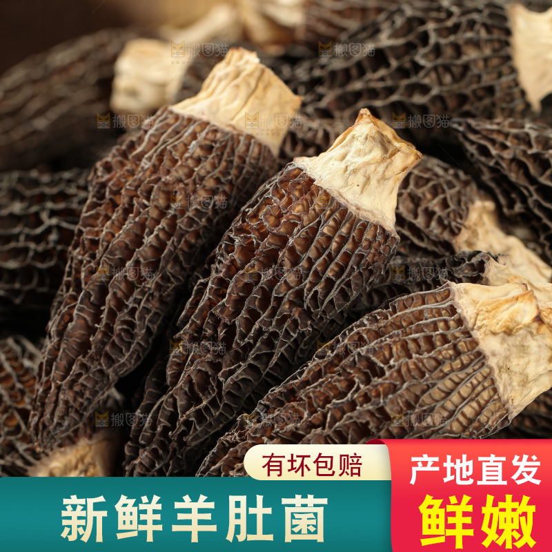 一篮干羊肚菌