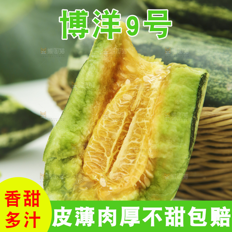 桌子上放着博洋9号甜瓜