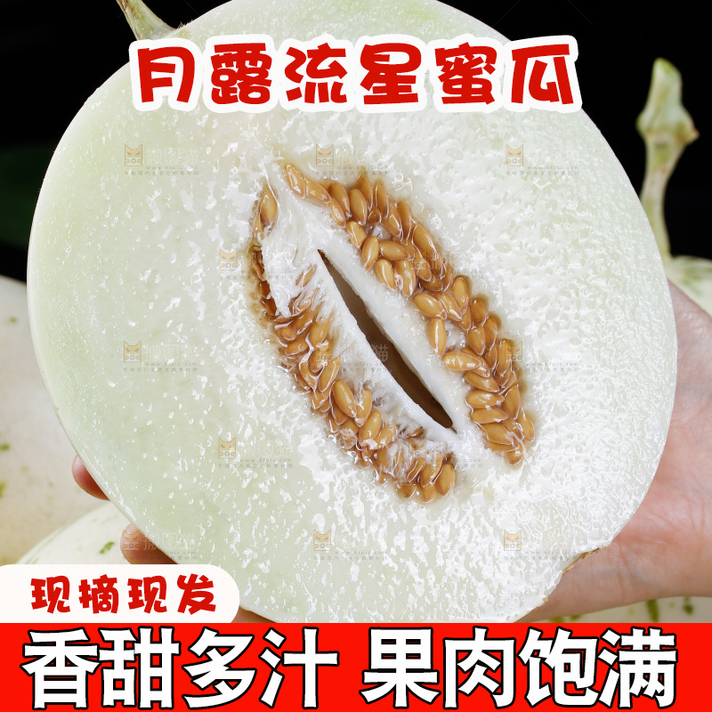切面的月露流星瓜