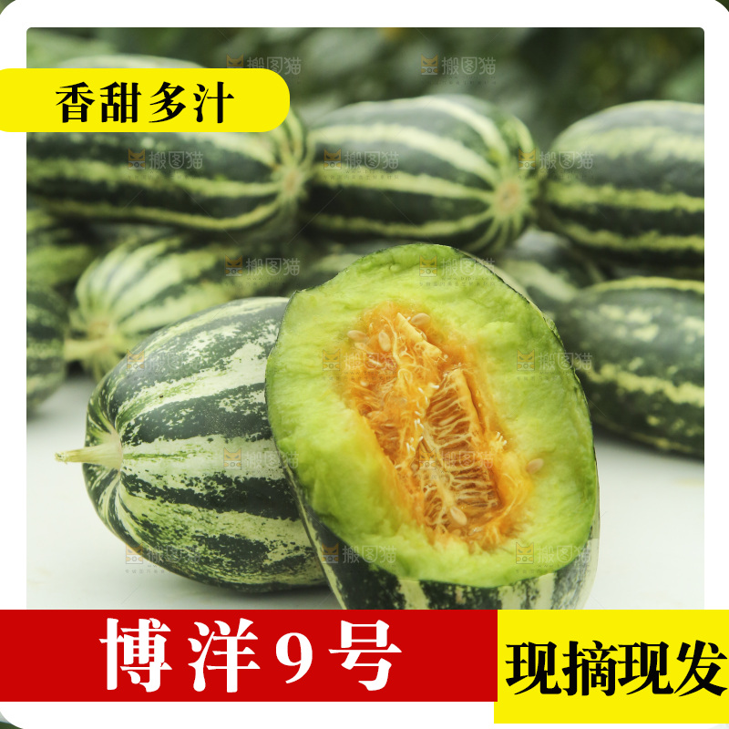 桌子上放着博洋9号甜瓜