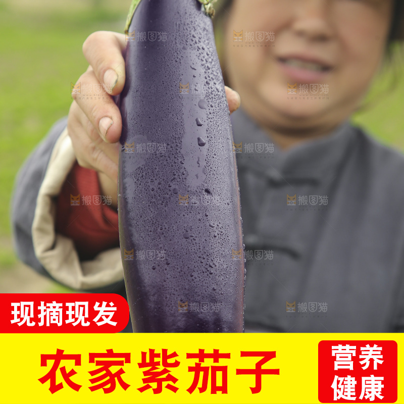 手里拿着紫皮茄子