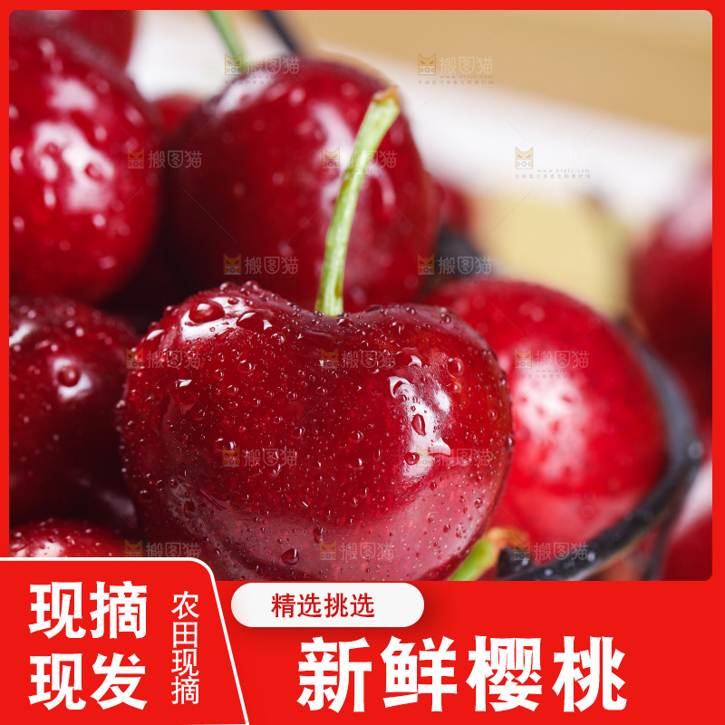 一篮美早大樱桃