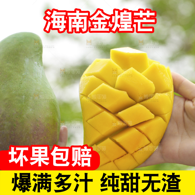 手里拿着金煌芒
