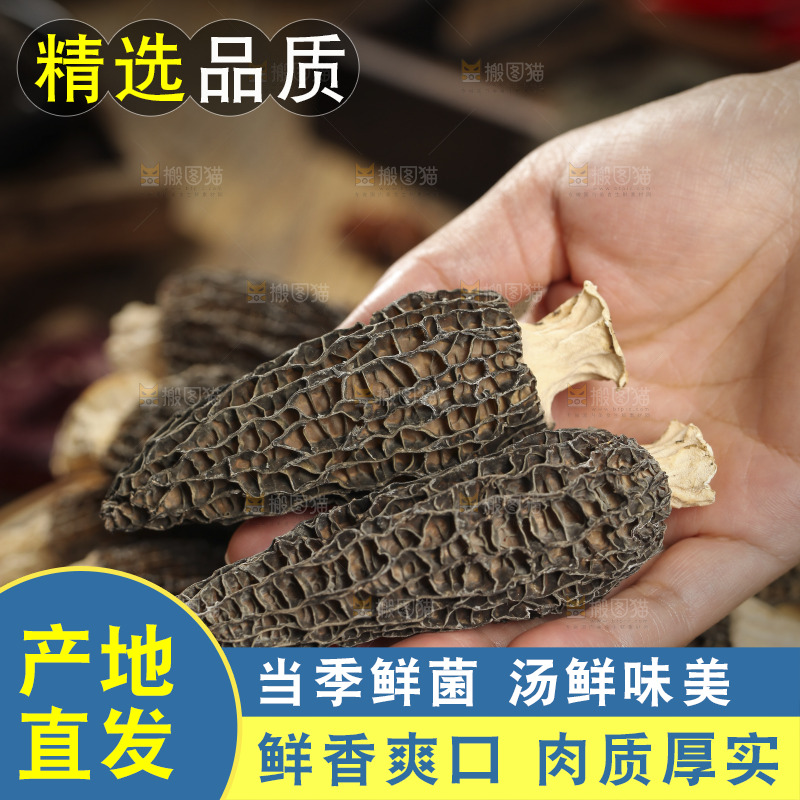 手里拿着羊肚菇