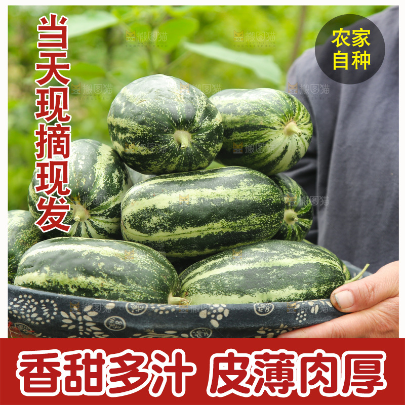 一篮博洋9号甜瓜