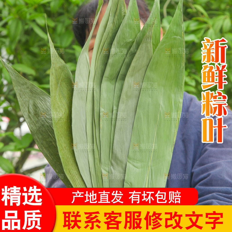 手里拿着大粽叶