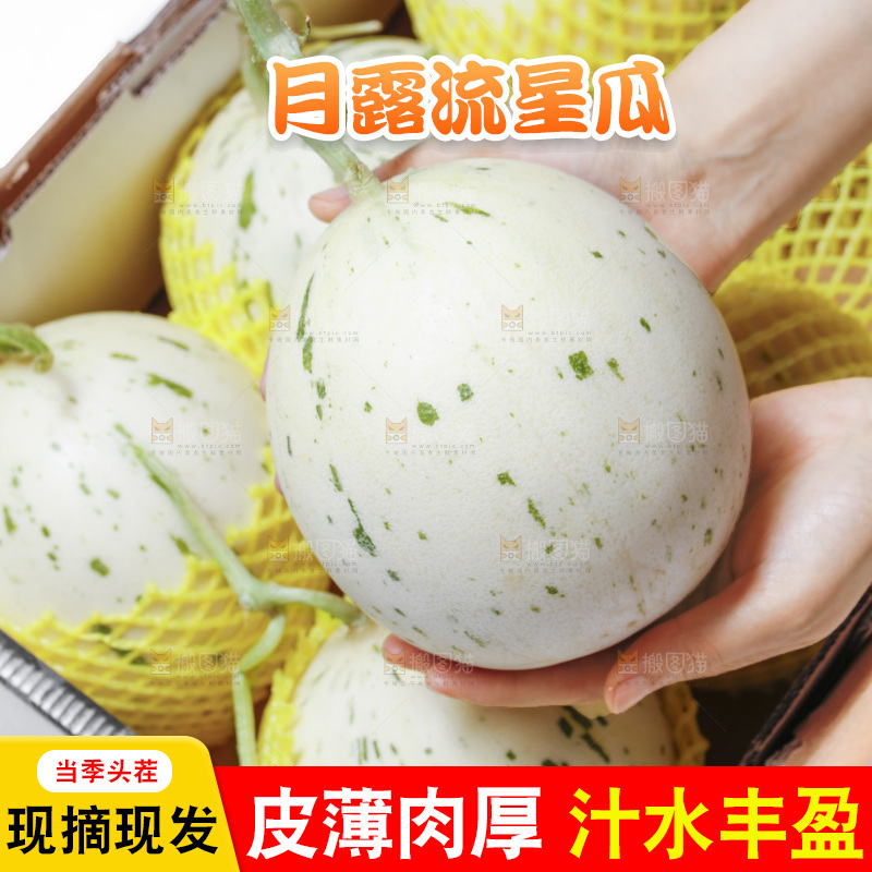 白底上放着一箱月露流星蜜瓜