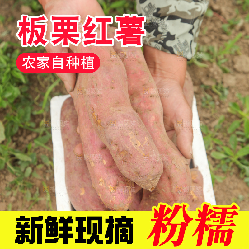 一箱白心板栗红薯