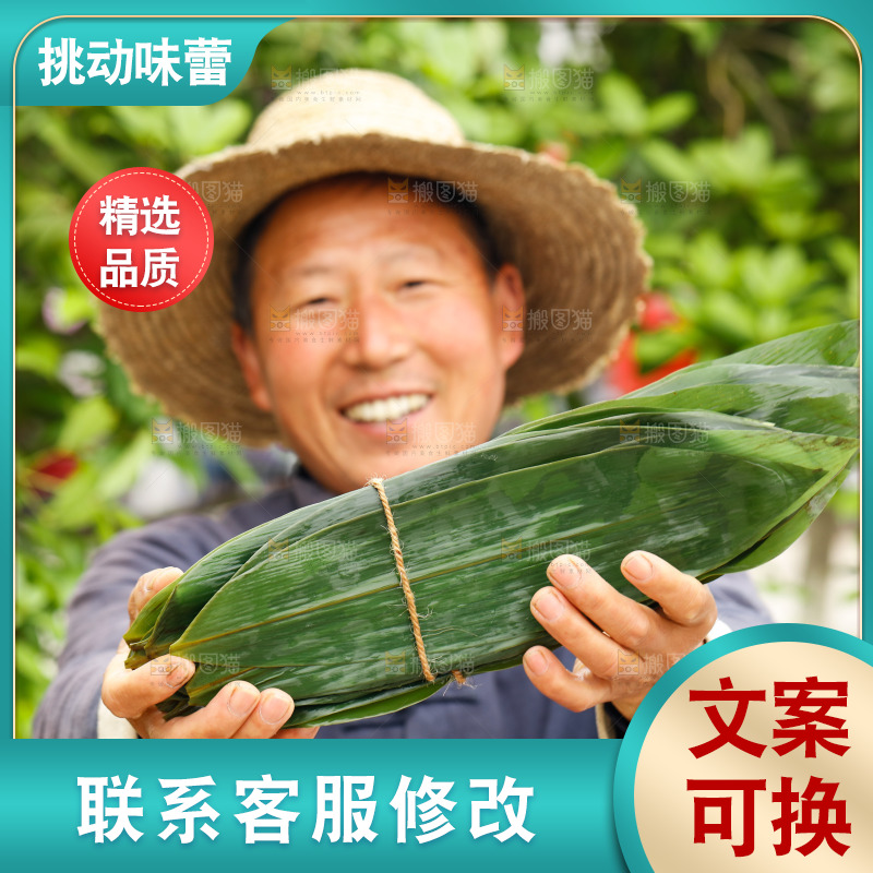 手拿着新鲜粽叶