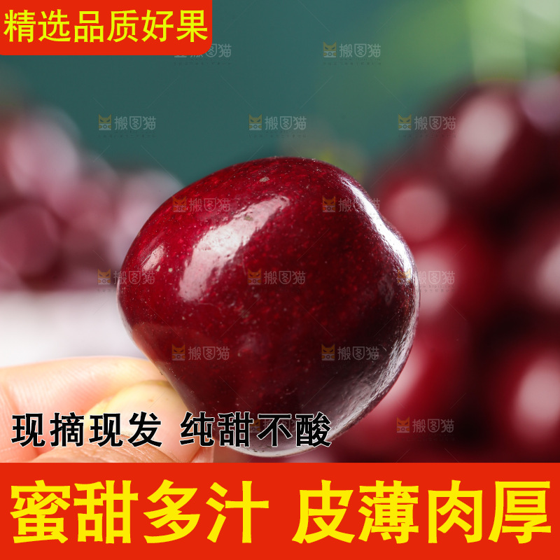 手里拿着大樱桃