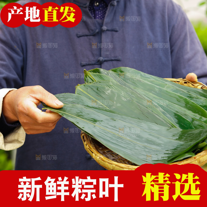 手里端着一篮新鲜粽叶
