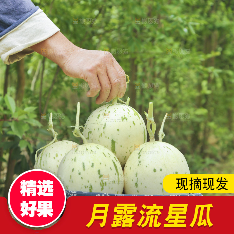 桌子上放着一篮月露流星瓜